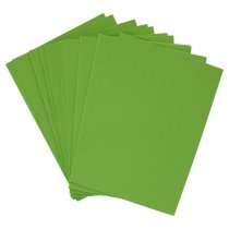 PREMIER ACTIVITY A4 160gsm CARD 50 SHEETS - PARROT