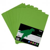 PREMIER ACTIVITY A4 160gsm CARD 50 SHEETS - PARROT