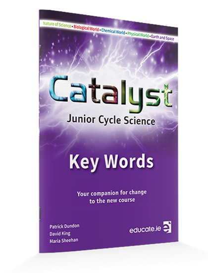 Catalyst key words book