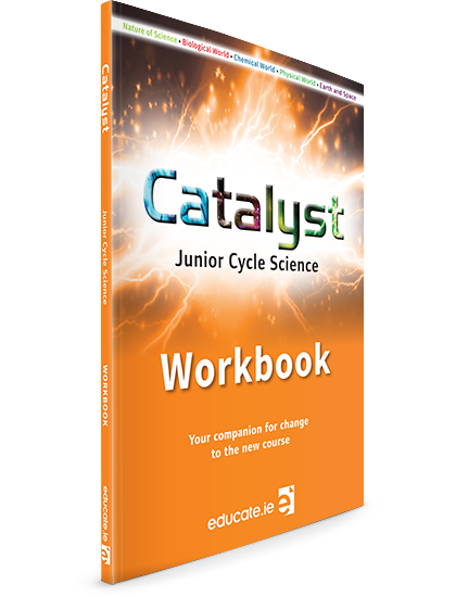 Catalyst workbook