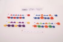 CONNECTING CAMELS SEQUENCING CARDS