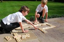 WOODEN DOMINOES- 6 inch pieces