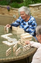 WOODEN DOMINOES- 6 inch pieces