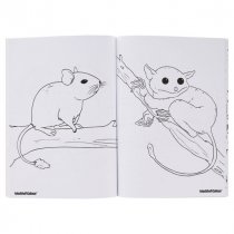 Woc A4 48pg Colouring Book - Pets