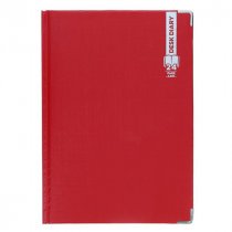 A4 Page Per Day Diary 2024