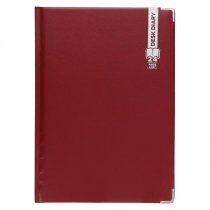 A4 Diary 2024 page per day