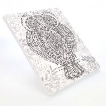 Icon 250x300mm Colour My Canvas - Owl