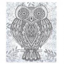 Icon 250x300mm Colour My Canvas - Owl