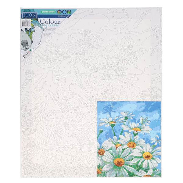 Icon 300x250mm Paint By Numbers Canvas - Daisy Meadow
