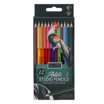 Icon Pkt.12 Artists Studio Triangular Colouring Pencils
