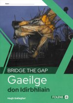 Bridge The Gap - Gaeilge don Idirbhliain