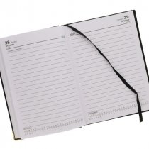 Premier A5 2024-2025 Page A Day Academic Diary