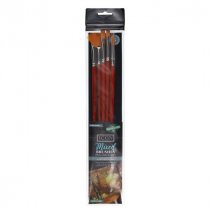 Icon Pk.5 Mixed Brushes Taklon Brush Set