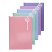 PremtoPastel A4 2025 Page A Day Diary - Asst