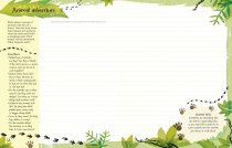 Write Your Own Story Book
