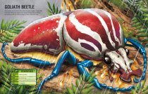 Build Your Own Giant Bugs Sticker Book