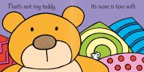 Usbourne Books That's not my teddy