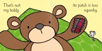 Usbourne Books That's not my teddy
