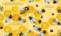 Usbourne Books Peep Inside a Beehive