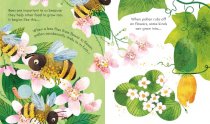 Usbourne Books Peep Inside a Beehive