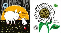 Usbourne Books Baby's Black and White Books Farm