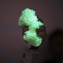 Playfoam® Glow In The Dark (8 Pack)