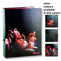 A4 Ring Binder