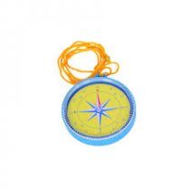 Shaw Magnets Giant Compass
