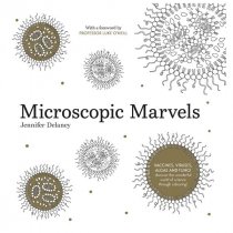 Jennifer DelaneyMicroscopic Colouring