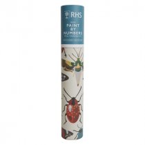 Paint By Numbers – Bug Study