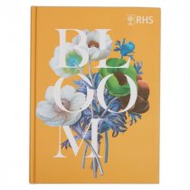 Sketchbook – Bloom