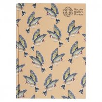 NHM SKETCHBOOK – FINCHES