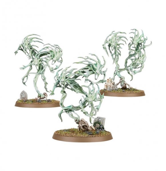 NightHaunt: Spirit Hosts