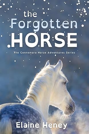 The Forgotten Horse - Dyslexia Friendly: 1 (Connemara Pony Adventures Dyslexia Friendly)
