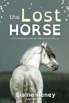 The Lost Horse - Dyslexia Friendly: 6 (Connemara Pony Adventures Dyslexia Friendly)
