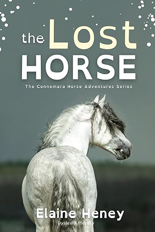 The Lost Horse - Dyslexia Friendly: 6 (Connemara Pony Adventures Dyslexia Friendly)