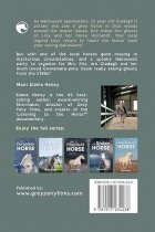 The Lost Horse - Dyslexia Friendly: 6 (Connemara Pony Adventures Dyslexia Friendly)