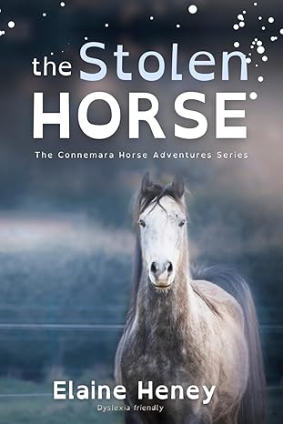The Stolen Horse - Dyslexia Friendly: 4 (Connemara Pony Adventures Dyslexia Friendly)