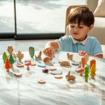 Woodland Trail Set- TICKIT