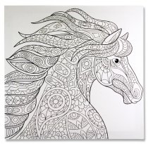 ICON 500x500mm COLOUR MY CANVAS - HORSE