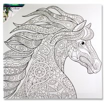 ICON 500x500mm COLOUR MY CANVAS - HORSE